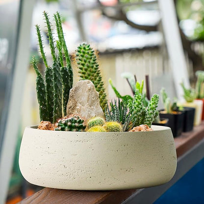 Olly & Rose Barcelona Off-White Ceramic Plant Bowl - 11 Inch - Indoor Outdoor Planter and Table Decor
