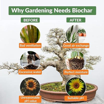 Old Potters Premium Biochar Soil Enhancer – 100% Organic Charcoal Amendment for Improved Soil Health and Plant Growth (24 Quarts)