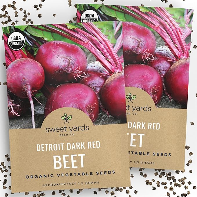 Organic Beet Seeds ‘Detroit Dark Red’ – Two Seed Packets! – Over 308 Heirloom USDA Organic Non-GMO Seeds – Sweet Yards Seed Co.
