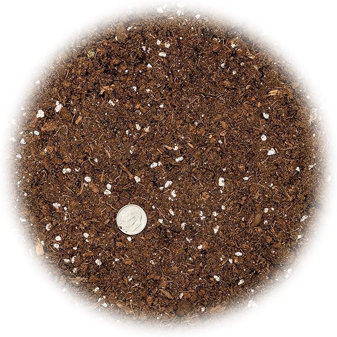 Gardenera's Citron Tree Soil Mix - The Perfect Blend of Quick-Draining Formula, Essential Nutrients for Healthy, Productive Citrus Medica Trees - [5 Quart Bag]