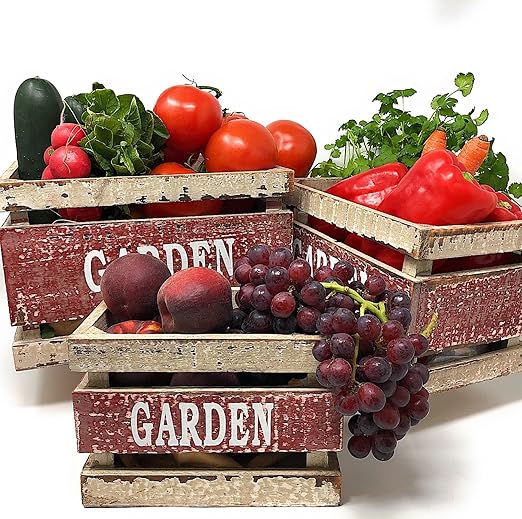 Nelson - Citrus Fruit & Avocado Tree Plant Food for In-Ground, Containers, & Patios, Granular Fertilizer, NutriStar 12-10-10 (15 lb.)