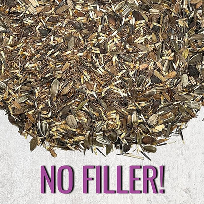 Seed Needs Garden Flower Seeds Large Blooms Mix Hummingbird and Butterfly | 1 Ounce No Filler 7 Varieties Open Pollinated | Resealable Package Live Wild Flower Seed | Bulk