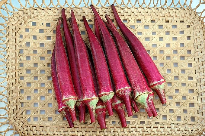 Seeds Alabama Red Okra (Bamia, Lady Finger) Heirloom Vegetable Non GMO