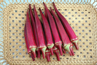 Seeds Alabama Red Okra (Bamia, Lady Finger) Heirloom Vegetable Non GMO
