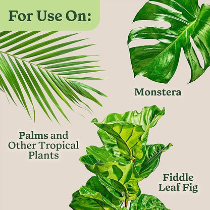 Miracle-Gro Indoor Plant Food for Tropicals, Liquid Plant Food for Tropical Houseplants, 8 fl. oz., 2-Pack