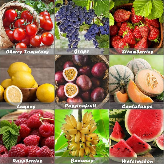 Heirloom Fruit Seeds - Survival Seeds. Cherry Tomatoes, Cantaloupe, Watermelon, Strawberries, Passion Fruit, Lemons, Raspberries, Grape 8 Different Varieties