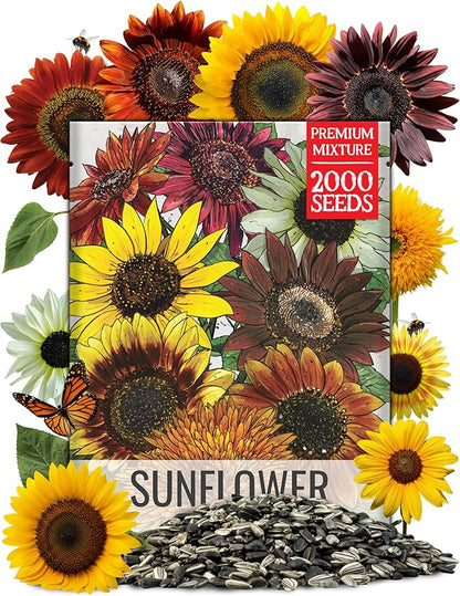 Seed Needs Sunflower Seeds for Planting The Original Crazy Blend | 2 Ounce 15+ Heirloom Varieties Open Pollinated & Untreated | Resealable Bulk Package Multicolored Blooms Flower Seeds