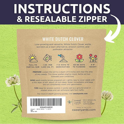 White Dutch Clover - Large 1 Ounce Packet - 40,000 Flower Seeds for Planting - Trifolium repens