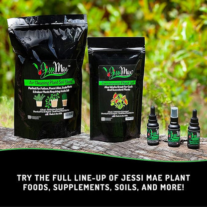 Jessi Mae Potting Soil - 4-Quart Bag, Perlite - Well-Draining Snake Plant Soil - Slightly Acidic Potting Mix for Indoor Plants