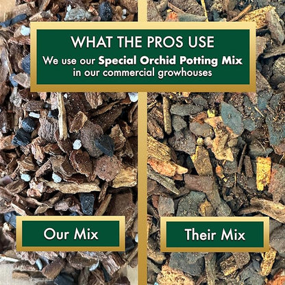 Better-Gro Special Orchid Mix - Premium Grade Orchid Bark Potting Mix, Repotting, Enhanced Drainage, Air Flow & Root Ventilation, Ideal for Phalaenopsis, Cattleyas, Dendrobiums 4 Quarts (Pack of 2)