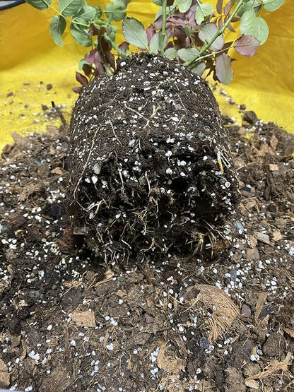 Voulosimi 15QT Organic Perlite Horticultural Soil Amendment for Plants and Enhanced Drainage Enhanced Growth(5-8mm), ZZ-154512156