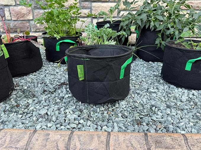 Seeding Square Fabric Grow Bags (5 Gallon) – Durable, Reusable Air-Pruning Plant Pots for Vegetables, Fruits & Herbs – Eco-Friendly Breathable Planter Bags for Healthy Roots & Bigger Harvests