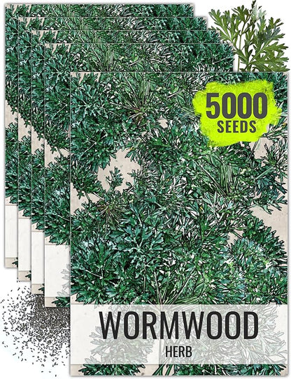 Seed Needs Wormwood Seeds for Planting - Non-GMO, Heirloom & Untreated Perennial Herb - Medicinal Herbs for Digestion & Gut Health (5 Packs)