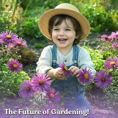 KVITER 600 New England Aster Seeds for Planting (Aster novae-angliae) – Purple Asters Plant Wildflower Seed Packets – Perennial Cut Flower Seeds, Purple Flower Garden, Flowers Beds, Containers