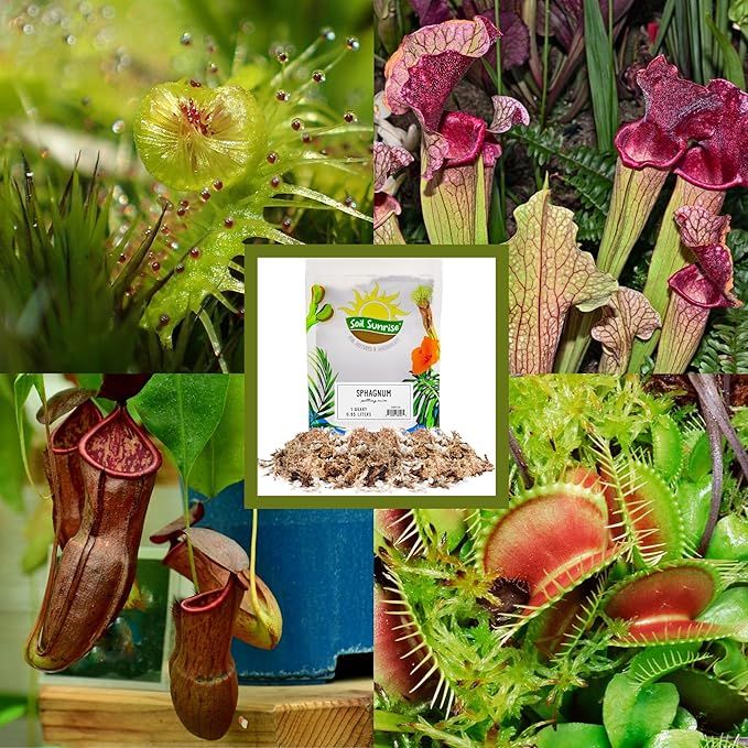 Soil Sunrise Sphagnum Moss Potting Mix (1 Quart) for Carnivorous Plants: Blend of Dried Moss with Perlite