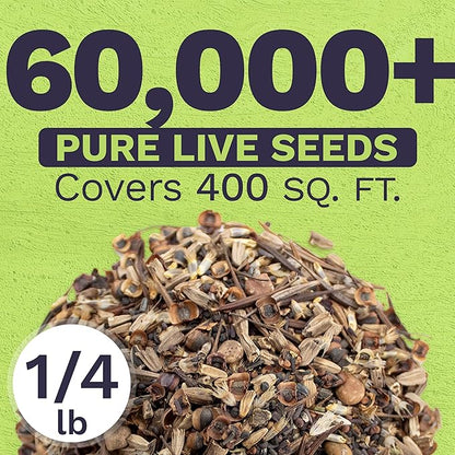 Texas Oklahoma Wildflower Seeds Mixture - Bulk 1/4 Pound Bag - Over 60,000 Native Seeds - Open Pollinated and Non GMO