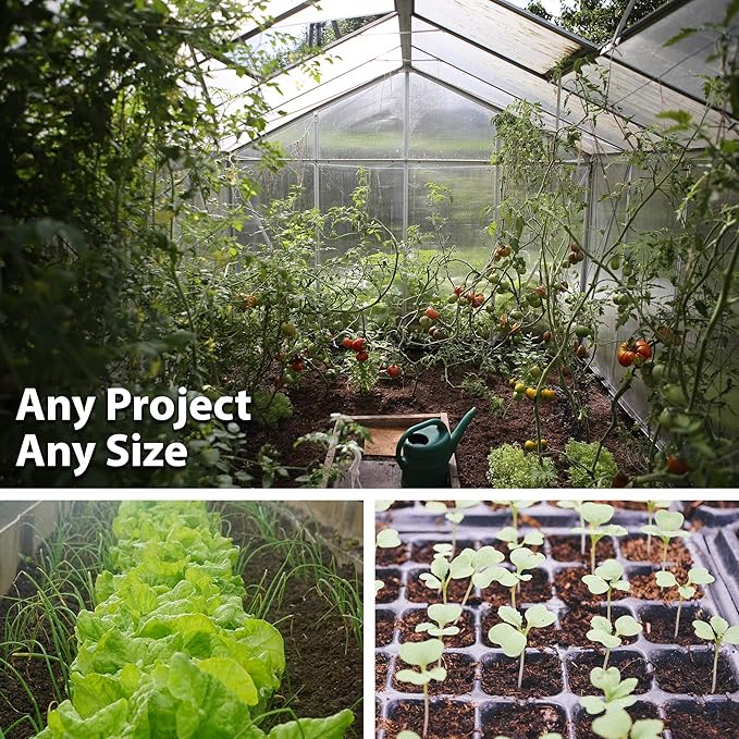 Mammoth Melting Sugar Pod Snow Pea Garden Seeds - 25 g Packet ~75 Seeds - Non-GMO, Heirloom Vegetable Gardening & Microgreens Seeds
