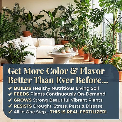 Organic Plant Magic - Fast-Acting Water Soluble Plant Food - All-Purpose Fertilizer Concentrate for Flower, Vegetable, Herb, Fruit Tree, Garden & Indoor Houseplants [One 1/2 lb Bag]