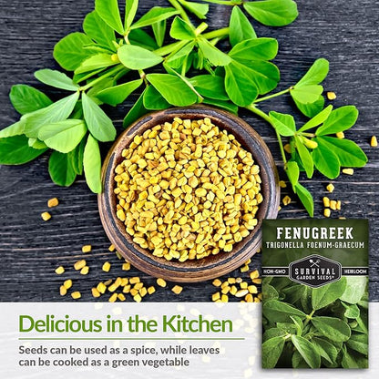2 Packs Fenugreek Seed for Planting with Instructions to Grow Samudra Methi in Your Home Vegetable Garden - Non-GMO Heirloom - Good Microgreens or Sprouts - Survival Garden Seeds