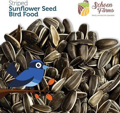 Schoen Farms Striped Sunflower Seeds – Shelled & Hulled Bird Food – 10 lb Bag – Premium Wild Bird Seed for Cardinals, Jays & Finches
