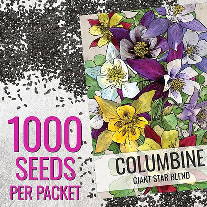 Seed Needs Giant Star Columbine Seeds for Planting Mckana's Mixture - Heirloom & Open Pollinated Colorful Flowers That Attract Pollinators/Butterflies (2 Packs)