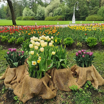 Garden Burlap Roll, 60" x 50 Feet Natural Jute Burlap Fabric Roll for Gardening Raised Bed Liners,Seed Cover,Edging,Weed Barrier,Aisle Runner Plant Cover Tree Protections (60" x 50 Feet)