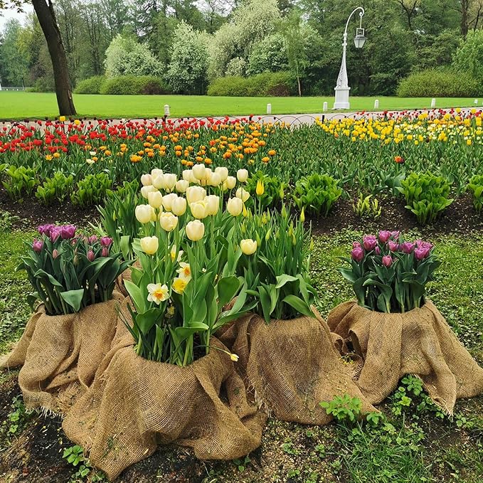 Garden Burlap Roll, 40" x 50 Feet Natural Jute Burlap Fabric Roll for Gardening Raised Bed Liners,Seed Cover,Edging,Weed Barrier,Aisle Runner Plant Cover Tree Protections (40" x 50 Feet)