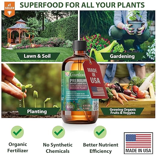 GARDENERA Premium Organic Seaweed & Kelp Superfood for Jade Plants Plants - 8 oz - Liquid Kelp Fertilizer Concentrate (Makes 45 Gallons)