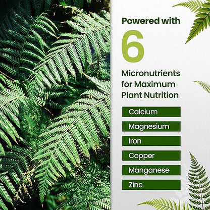 32oz Fern Fertilizer - Makes 64 Gallons of Fertilizer for Ferns, Nutrient-Rich Indoor Plant Food for Greener Growth and Dense, Resilient Fronds with Intricate Texture - Ideal for All Fern Plant Live