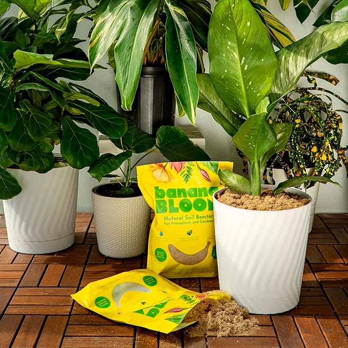 Banana Bloom – Sustainable Banana Fiber | Alternative to Coco Coir & Peat | Perfect for Tropical Houseplants | Better Water Retention for Gardens | 1 lb Bag