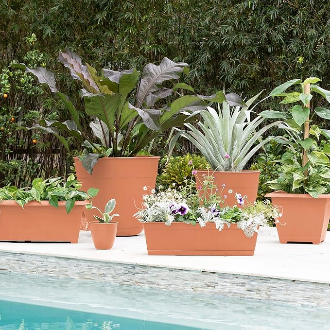 Bloem Dayton Planter with Saucer: 12" - Coral - 100% Recycled Plastic Pot, Removable Saucer, Elevated Feet, for Indoor and Outdoor Use, Gardening, 3 Gallon Capacity