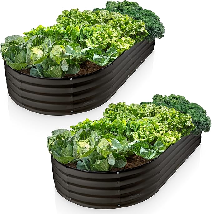 Plant & Plot Galvanized Raised Garden Beds Outdoor // 6×3×1 ft (2-Pack) Planter Raised Beds for Gardening, Vegetables, Flowers // Large Metal Garden Box // Patented Tool-Free Design (Black)