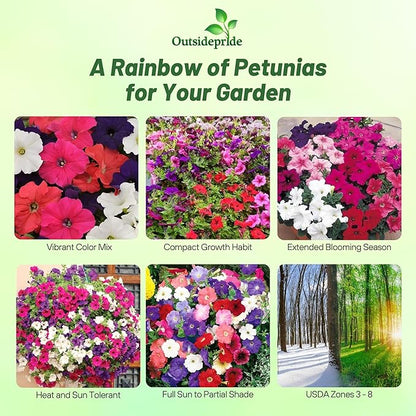 Outsidepride Hybrida Mix Petunia Seeds - 5000 Pcs. Annual, Compact & Versatile Flower Seeds for Planting Low Growing Vibrant Blooms, Ideal for Garden Beds, Hanging Baskets & Container Displays
