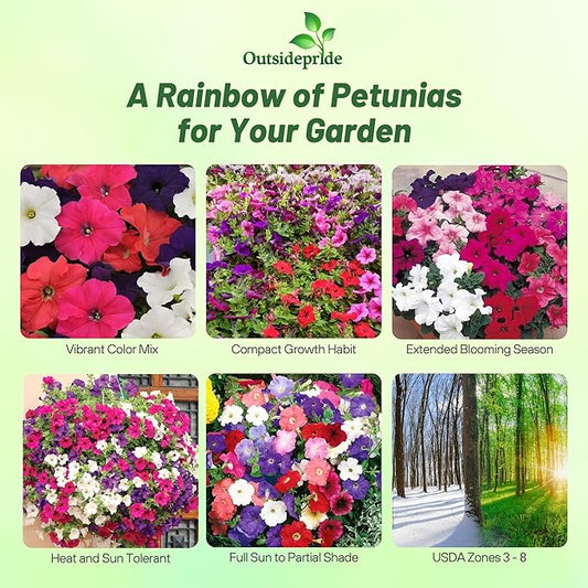 Outsidepride Hybrida Mix Petunia Seeds - 5000 Pcs. Annual, Compact & Versatile Flower Seeds for Planting Low Growing Vibrant Blooms, Ideal for Garden Beds, Hanging Baskets & Container Displays