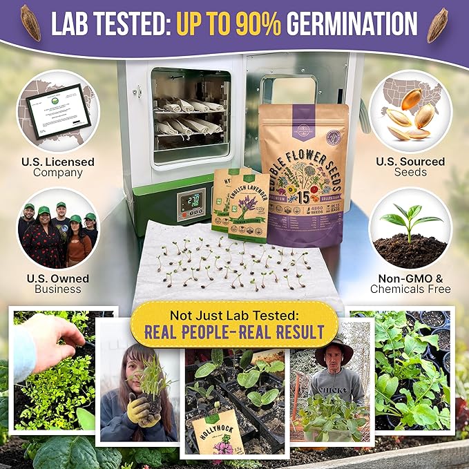 Organo Republic 15 Edible Flower Seeds Variety Pack- Indoor/Outdoor. 4800+ Non-GMO Heirloom Flower: Borage, Bishop's Flower, Chicory, Chives, Hyssop, Echinacea, Lavender Seeds & More