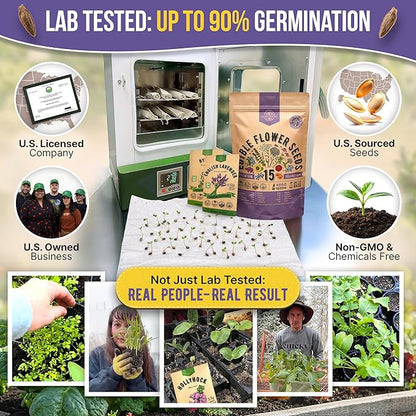 Organo Republic 15 Edible Flower Seeds Variety Pack- Indoor/Outdoor. 4800+ Non-GMO Heirloom Flower: Borage, Bishop's Flower, Chicory, Chives, Hyssop, Echinacea, Lavender Seeds & More