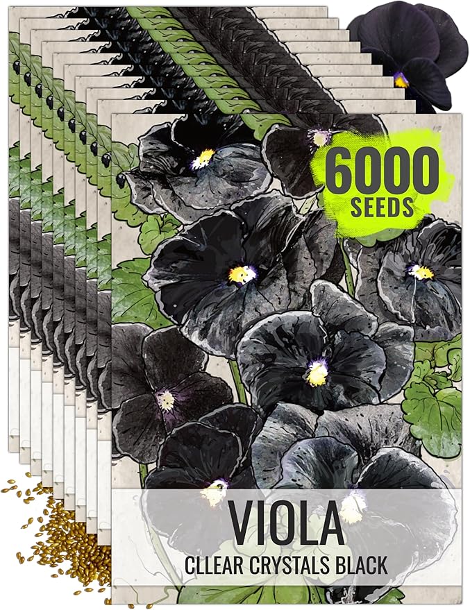 Seed Needs Pansy Seeds for Planting Clear Crystals Black Pansies - Heirloom & Open Pollinated Annual Flower Seed to Plant an Outdoor Gothic Garden (10 Packs)