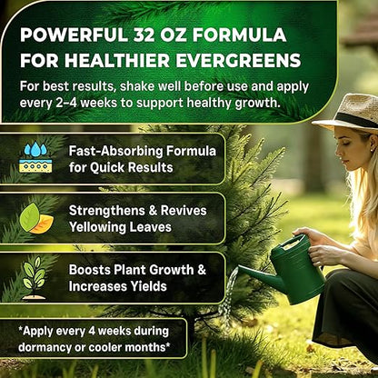Leaves and Soul Professional Evergreen Tree Fertilizer Liquid Concentrate - 6-4-6 Blend for Evergreens, Garden Use - Liquid Plant Food for Evergreen Trees and Shrubs Outdoors - 32oz