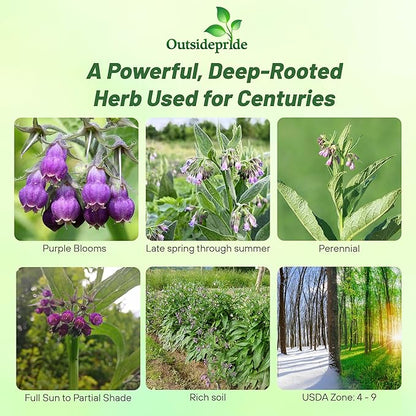 Outsidepride Comfrey Seeds - 200 Pcs. Perennial, Drought-Tolerant & Low Maintenance, Herb Seeds for Planting Tall, Vibrant Bell-Shaped Purple Blooms for Versatile Uses & Pollinator Gardens