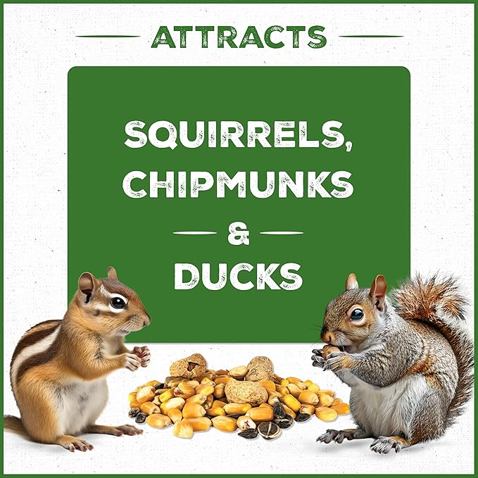 Pennington Pride Squirrel & Critter Blend,with Sunflower Seeds and Peanuts for Squirrels,Helps Keep Critters Away from Bird Feeders,10-lb. Bag,(Pack of 2)