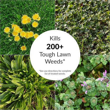 GreenView Fairway Formula Spring Fertilizer Weed & Feed and Crabgrass Preventer