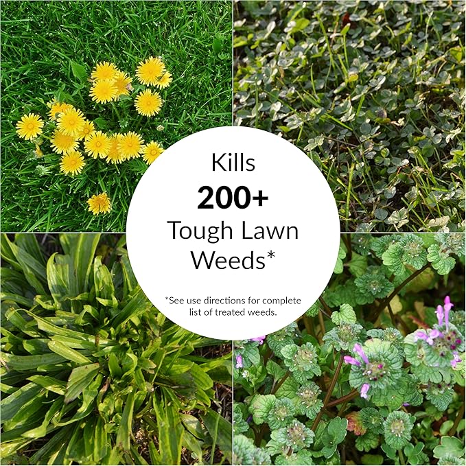 GreenView Fairway Formula Spring Fertilizer Weed & Feed and Crabgrass Preventer