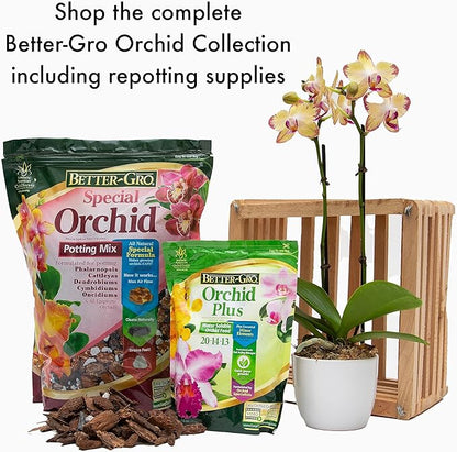 Better-Gro Special Orchid Mix - Premium Grade Orchid Bark Potting Mix for Potting, Repotting, Enhanced Drainage, Air Flow & Root Ventilation, for Phalaenopsis, Cattleyas, Dendrobiums, 8 Quarts