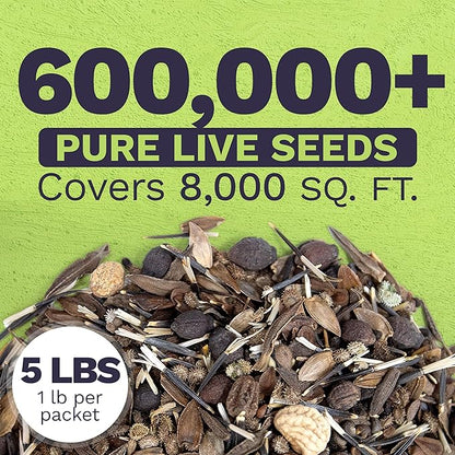 Bulk Wildflower Seeds Butterfly and Humming Bird Mix - 5 Pounds - Over 600,000 Open Pollinated Annual and Perennial Seeds