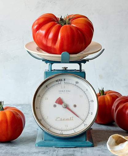 Burpee 'SteakHouse' Hybrid, Large Beefsteak Tomatoes, 25 Non-GMO Seeds