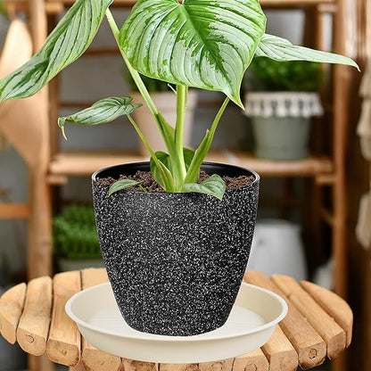 6 Pack of Plant Saucer Tray 7 8 inch, Heavy Duty Plastic Pot Plant Drip Trays Saucers for Indoors Outdoor, Plant Water Tray for Planters 7-9" (8", Beige)