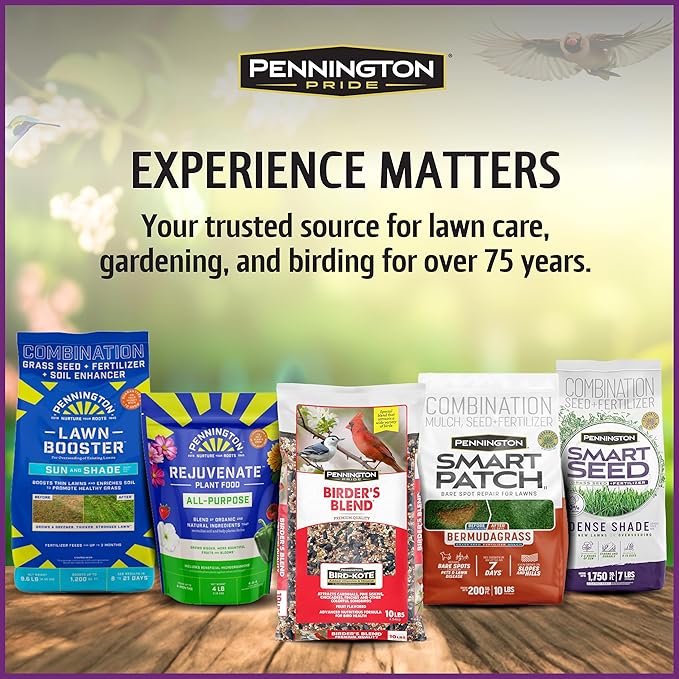 Pennington Pride Songbird Nut & Fruit Blend, Wild Bird Seed for Outside Feeders, Advanced Nutrition Formula for Health, Bird Food, 10-lb. Bag