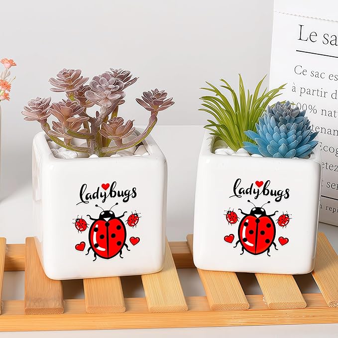 Ladybugs Succulent Planter Flower Plant Pot Small, Gifts for Women Teens Girls Kids, Ladybugs Lovers Themed Stuff Accessories Things Decor Merch, Home Office Table Desk Decoration!