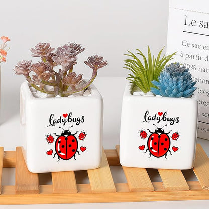 Ladybugs Succulent Planter Flower Plant Pot Small, Gifts for Women Teens Girls Kids, Ladybugs Lovers Themed Stuff Accessories Things Decor Merch, Home Office Table Desk Decoration!