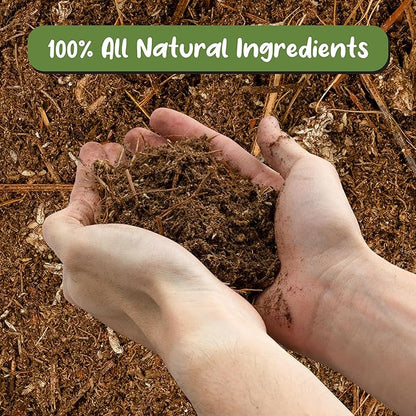 Soil Sunrise Acid Loving Plant Potting Soil Mix (12 Quarts) Premium Container Blend pH Balanced for Azaleas, Rhododendrons, Blueberries and More